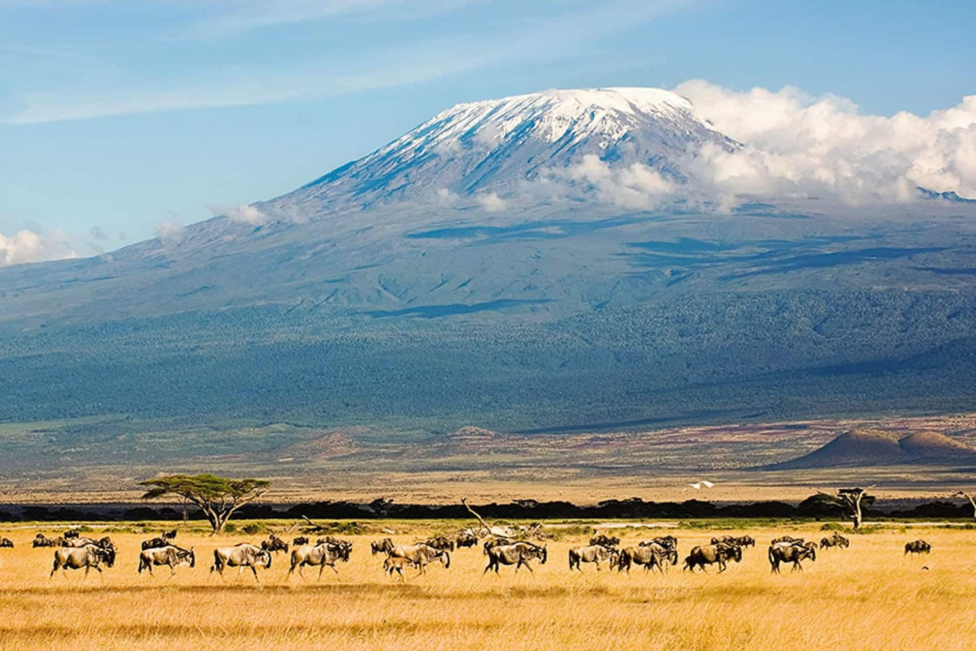 Mount Kilimanjaro
