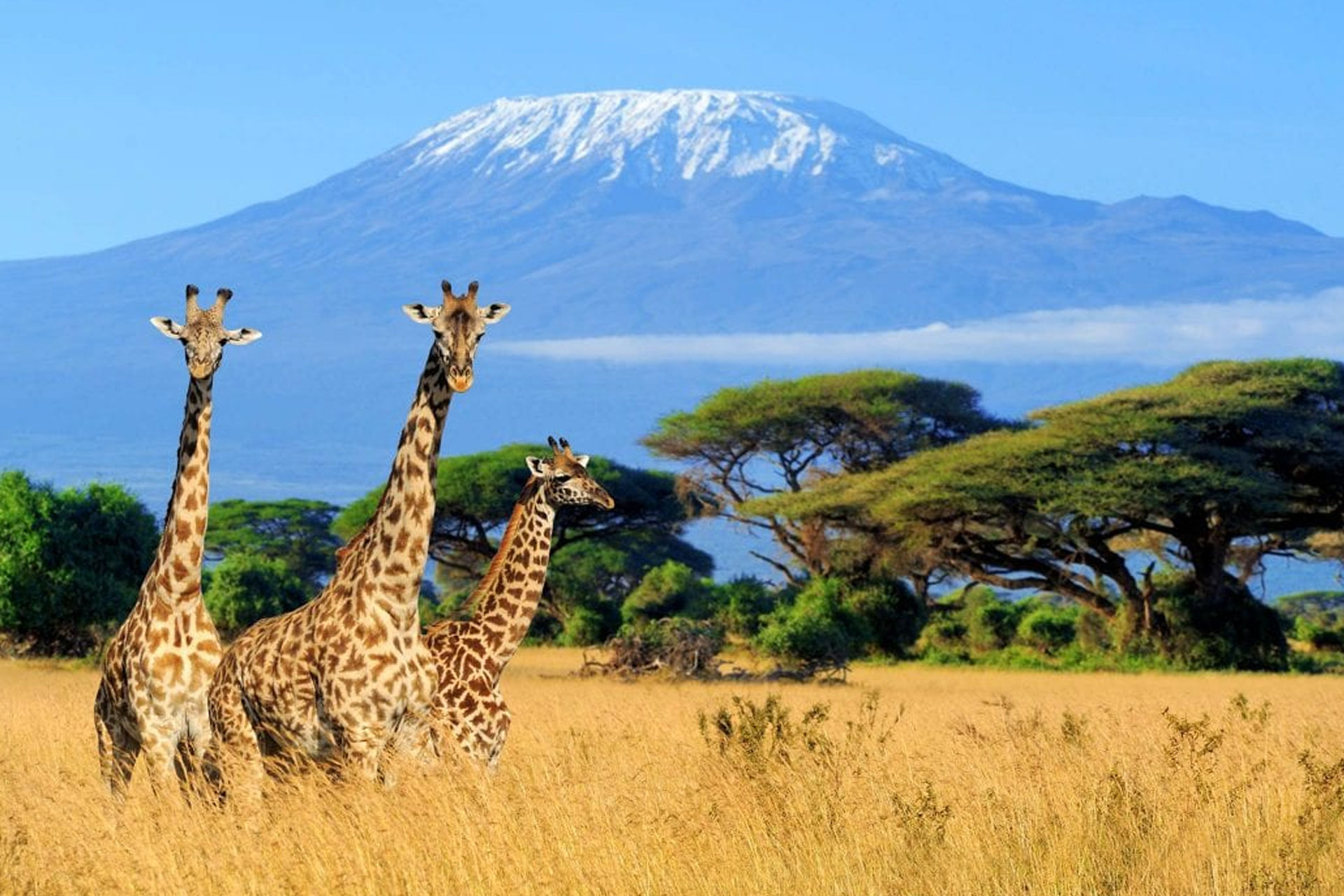 Climbing Kilimanjaro: Choosing Your Route